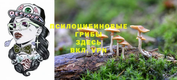 ГАЛЛЮЦИНОГЕННЫЕ ГРИБЫ Алзамай