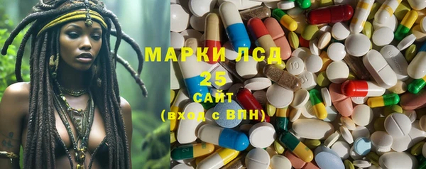 ПСИЛОЦИБИНОВЫЕ ГРИБЫ Алексин
